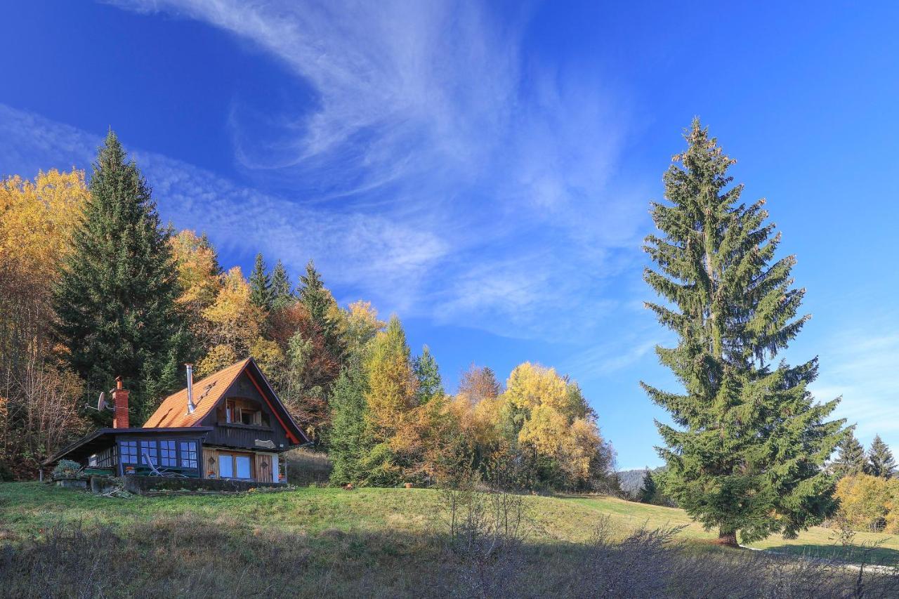 Villa Pravlca  Zgornje Gorje Esterno foto