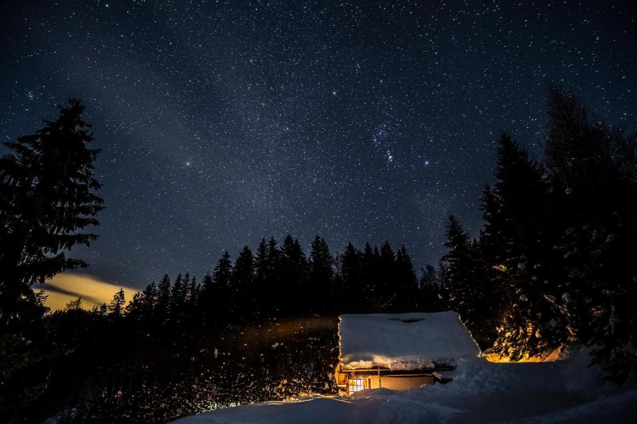 Villa Pravlca  Zgornje Gorje Esterno foto