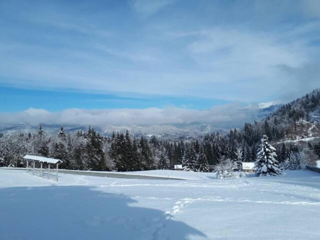 Villa Pravlca  Zgornje Gorje Esterno foto