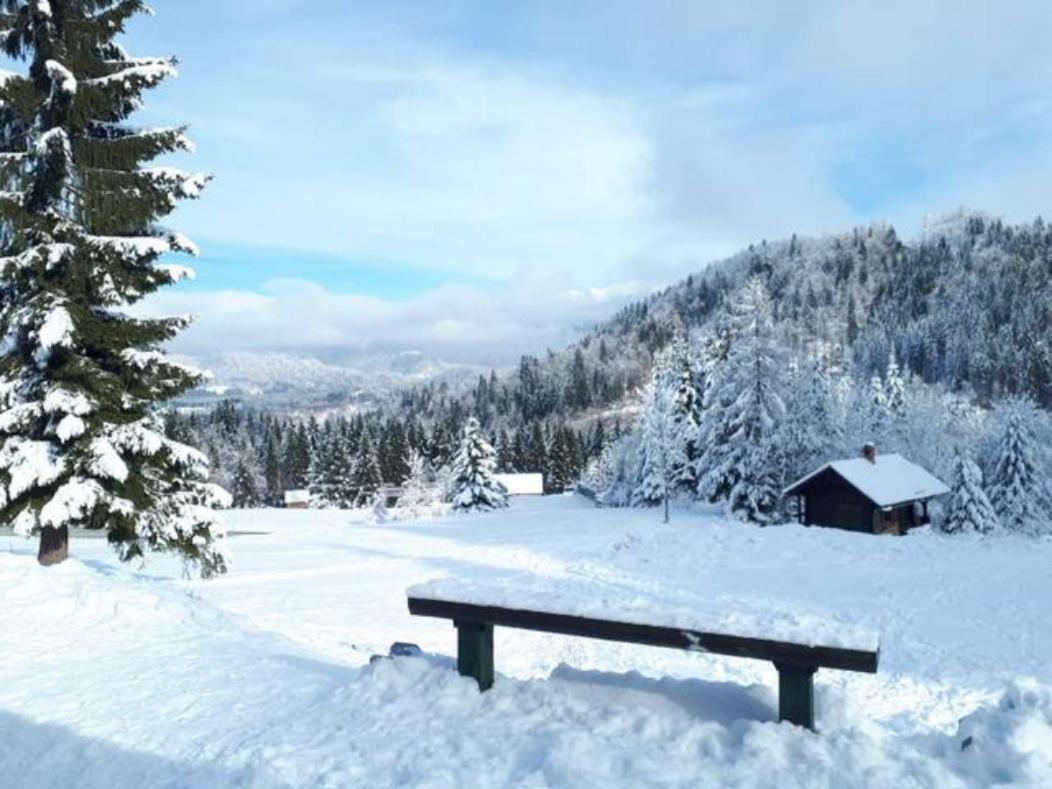 Villa Pravlca  Zgornje Gorje Esterno foto